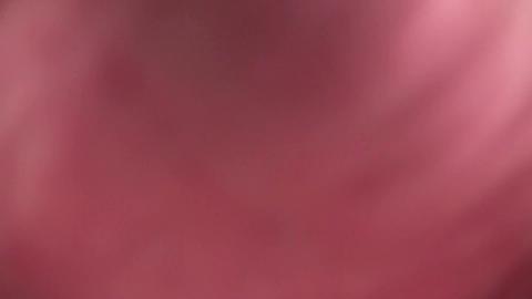 16652