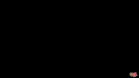 34202