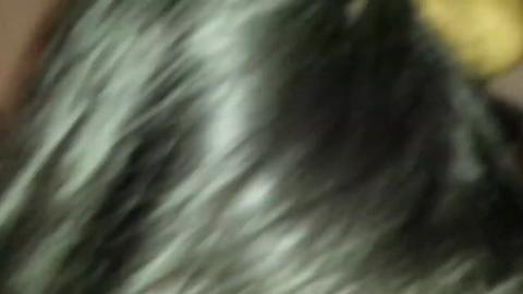 8640