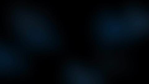 11359