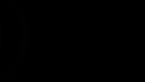 16047