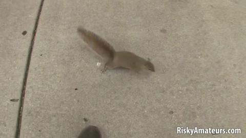 1291