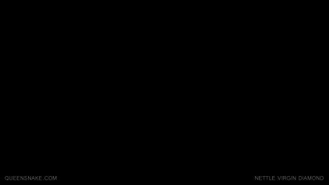 11025