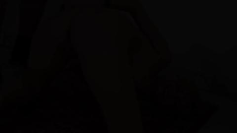22081